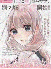 老狐狸电影海报